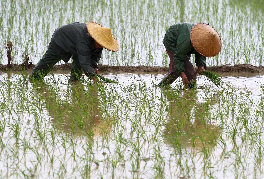 ancient chinese people farming